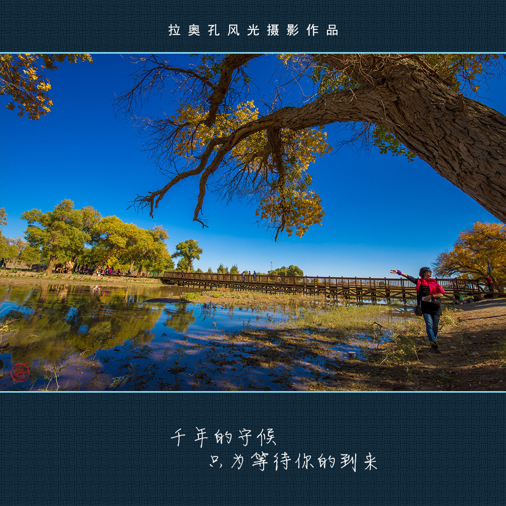 千年的守候 只为等待你的到来