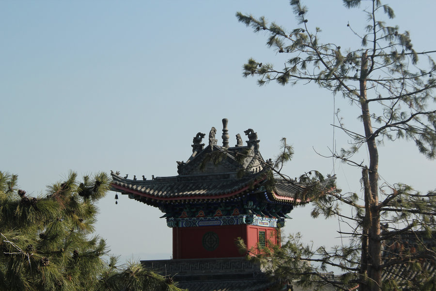 河北阳原县大觉寺 (16/56)