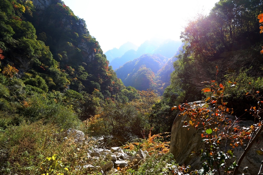 秦岭大峪的秋天