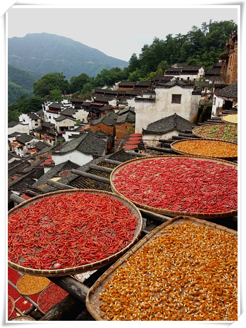 【晒秋人家摄影图片】婺源篁岭国内摄影_太平洋电脑网