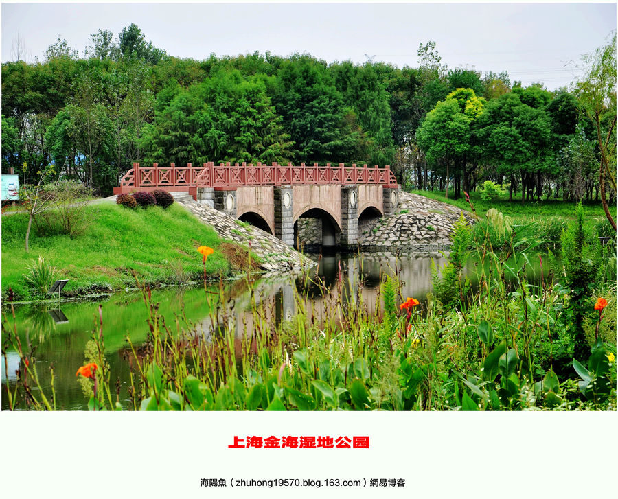 上海金海湿地公园 (共 19 p)
