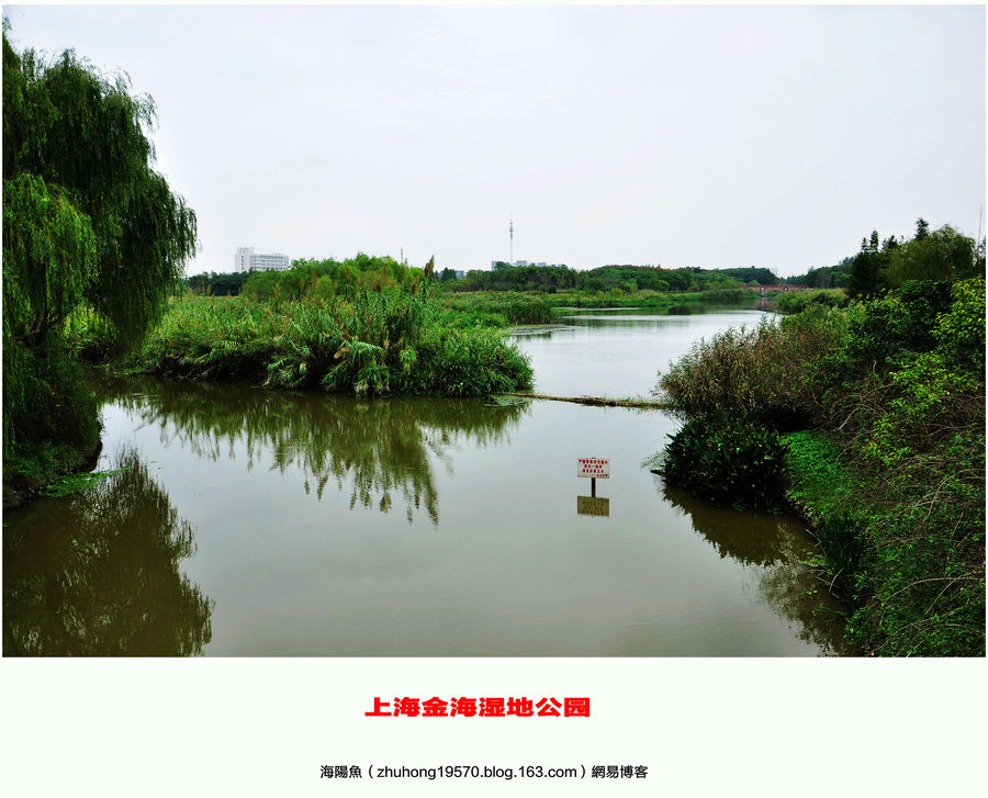 上海金海湿地公园 (共 19 p)