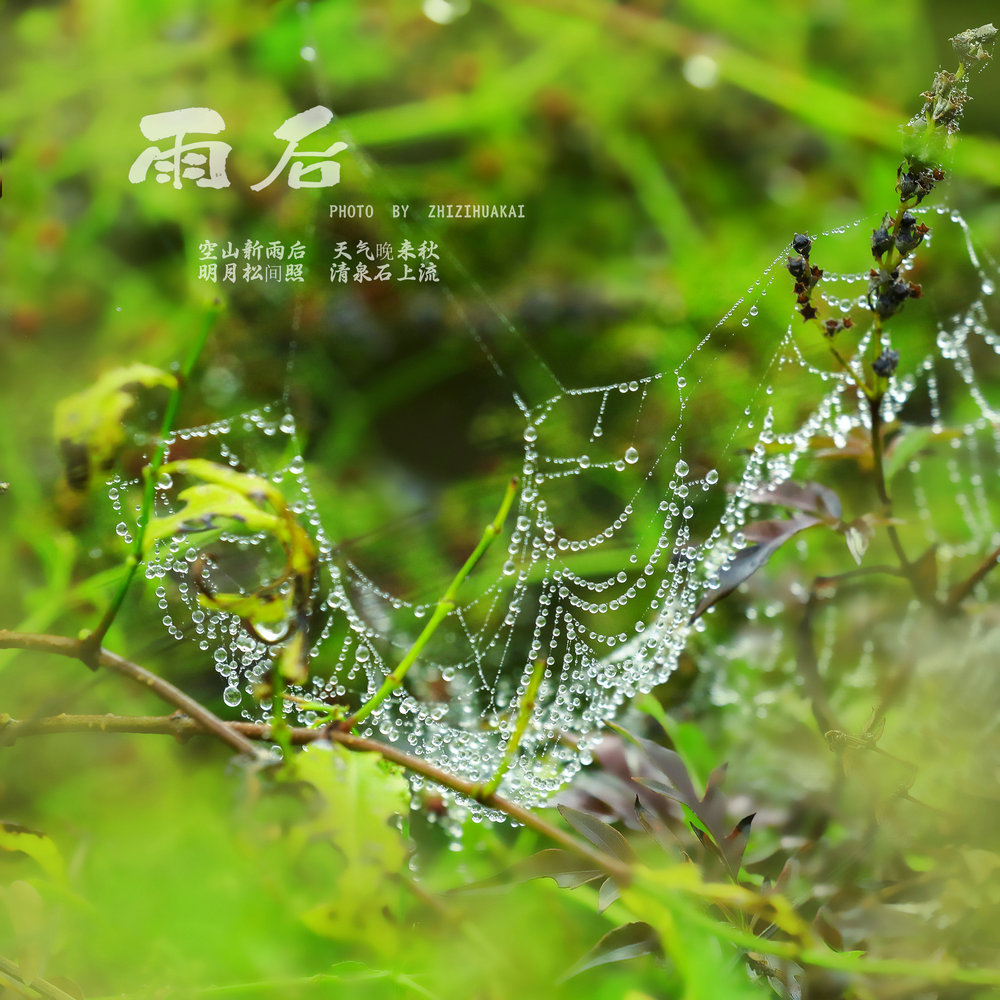 空山新雨后 天气晚来秋