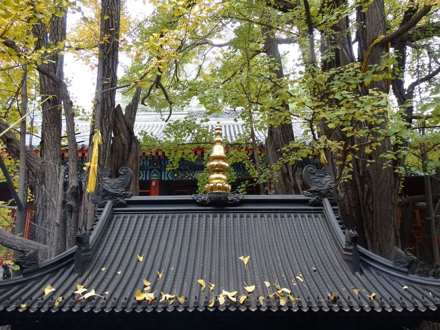 手机看图 作品简介               在北京八大处公园的大悲寺.