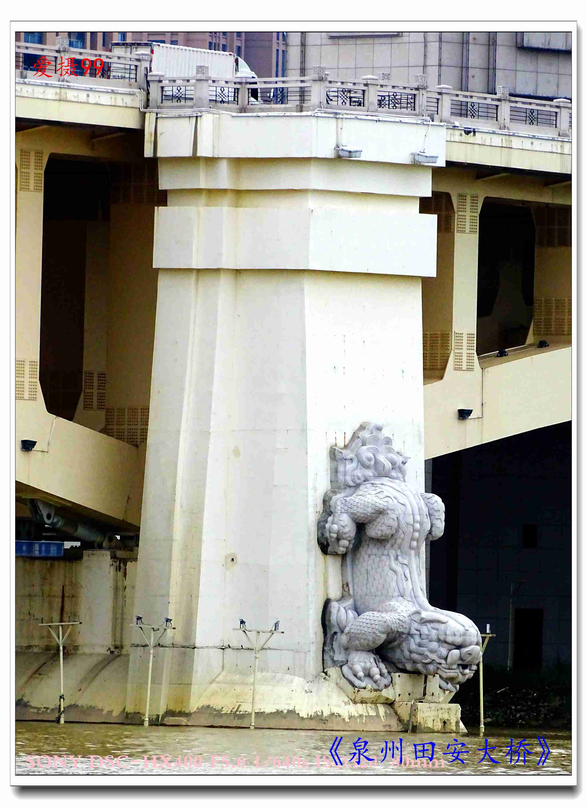 《泉州田安大桥》5