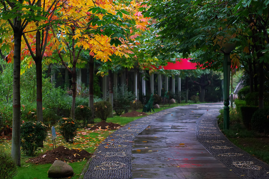 雨中景