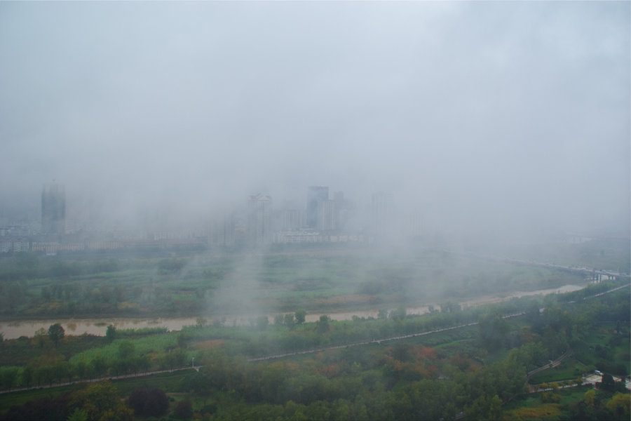 城市雨雾