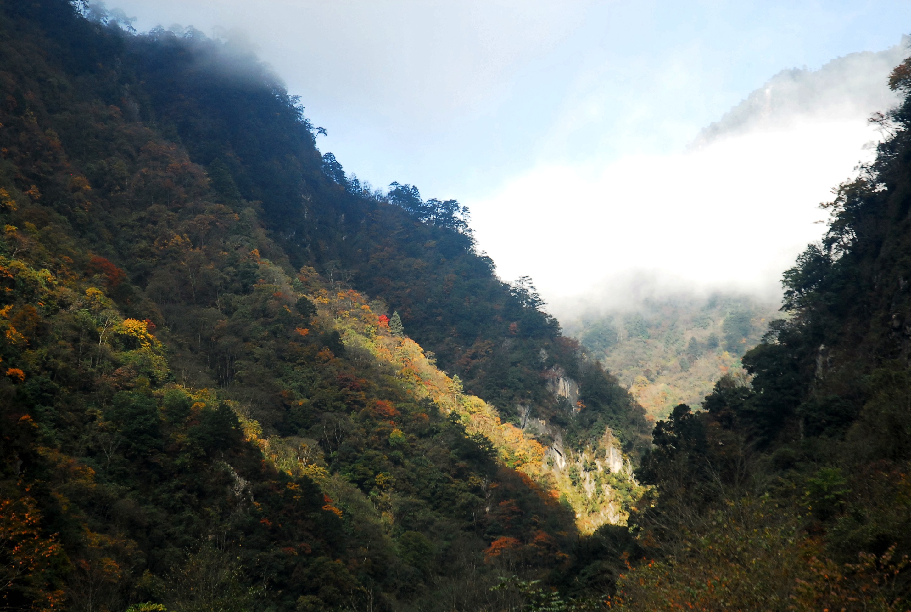 宝兴东拉山大峡谷景区