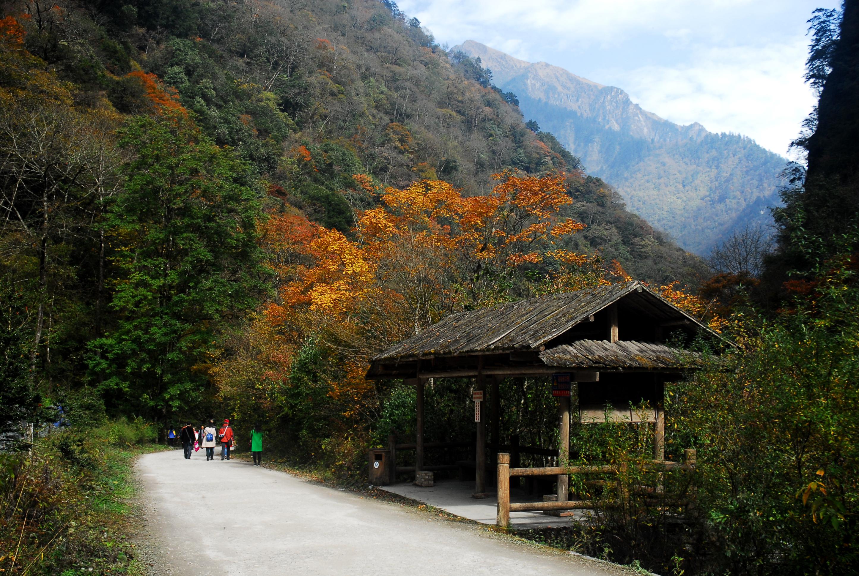 宝兴东拉山大峡谷景区