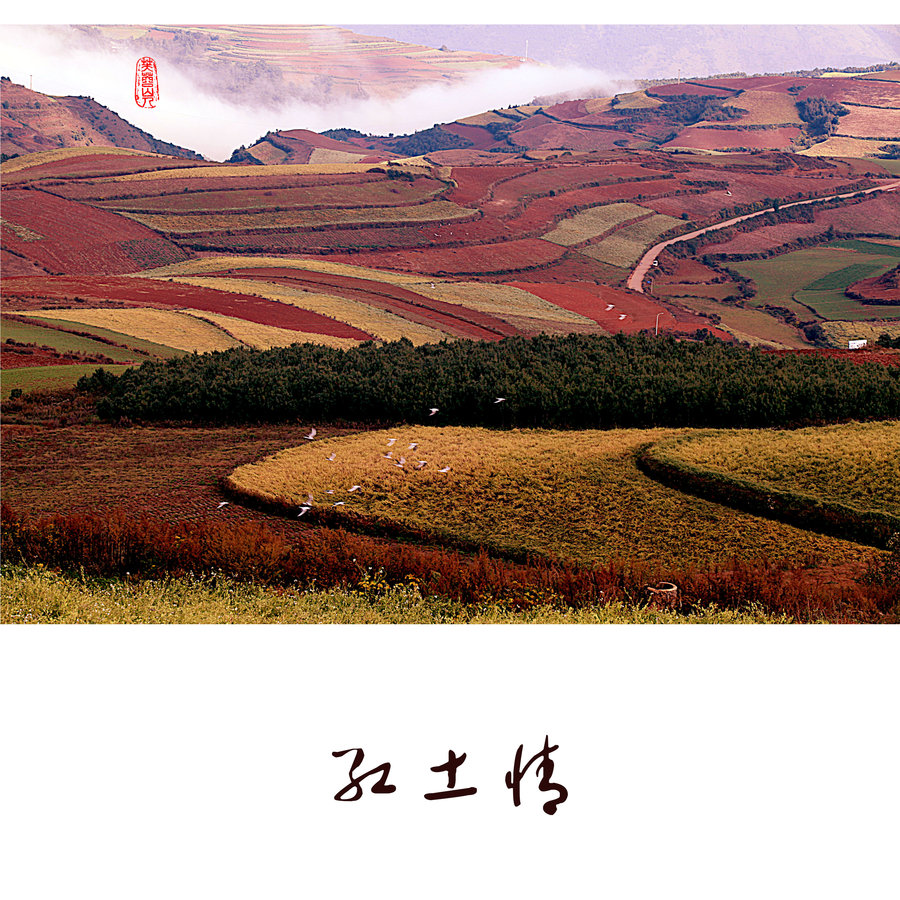 摄影部落