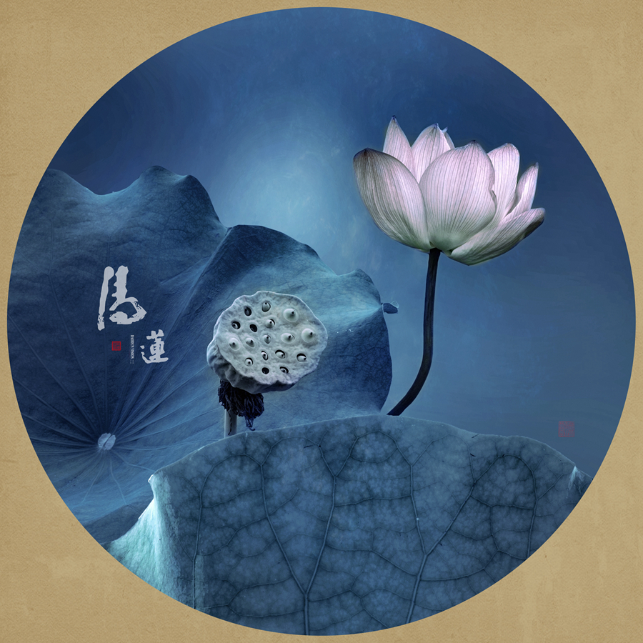 青莲-2016
