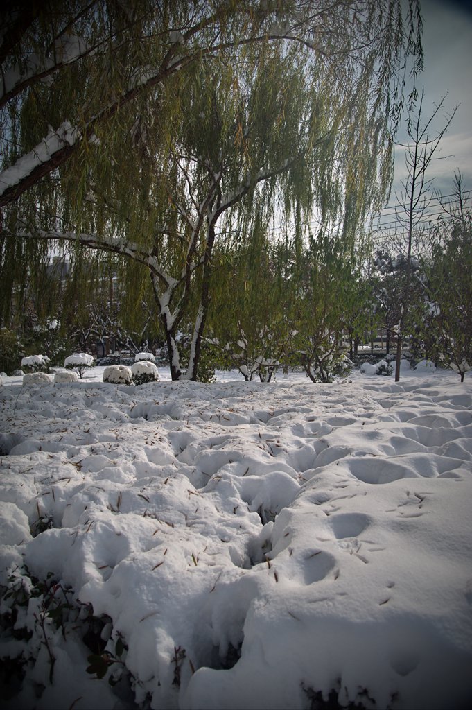 大雪初晴