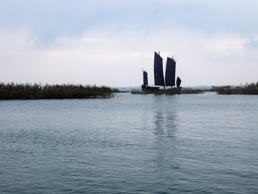 太湖湿地公园