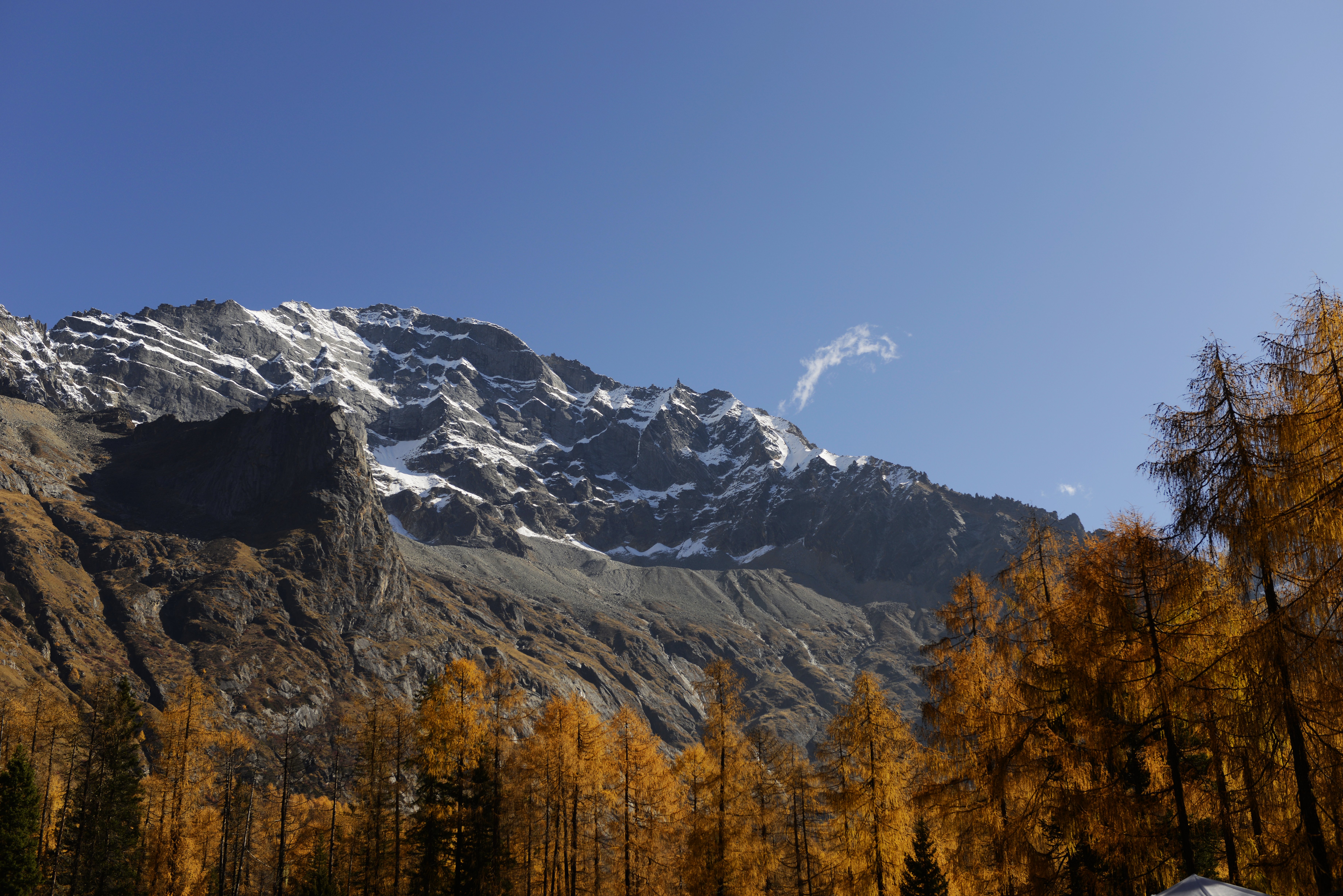 四姑娘山风景