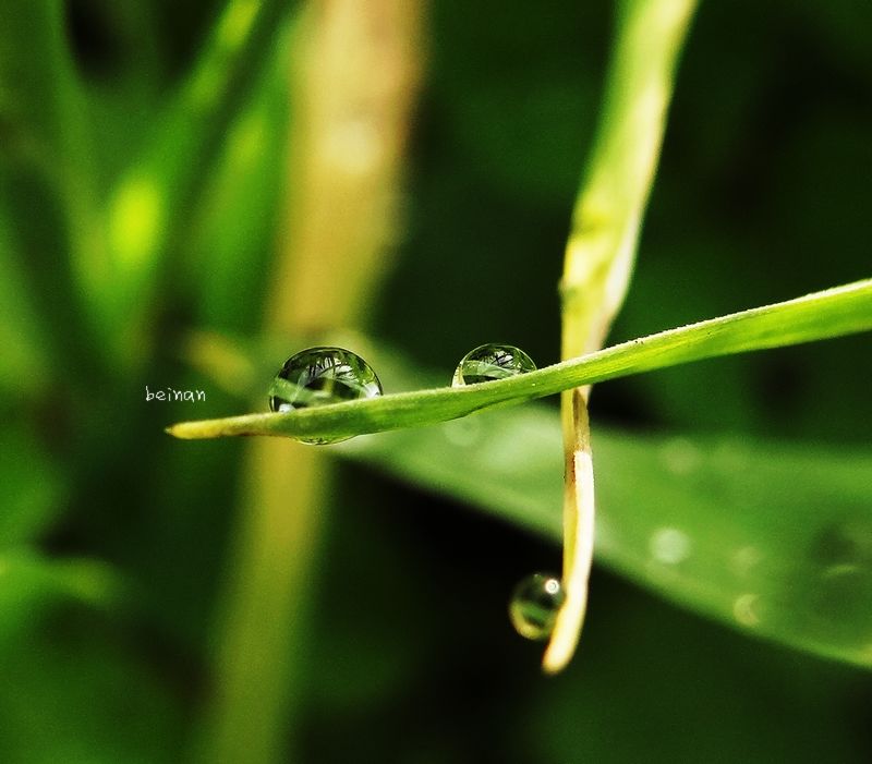 雨的印记