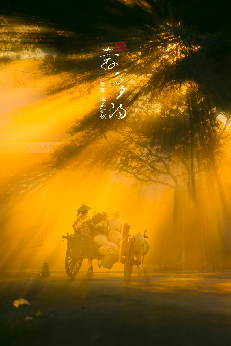 奔向夕阳