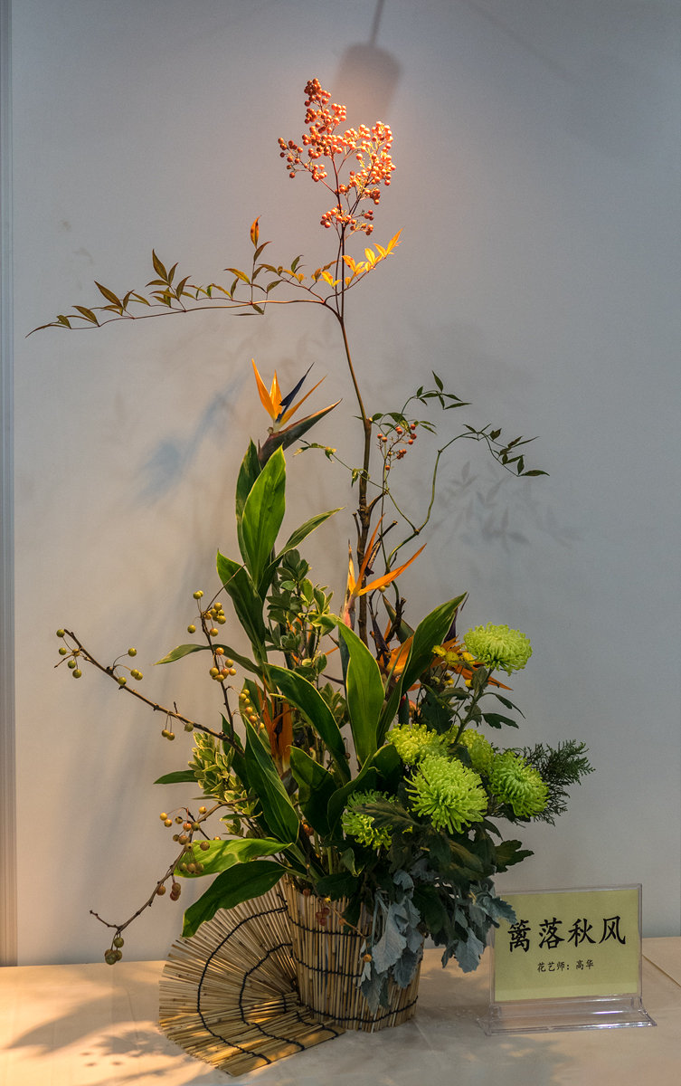 菊花插花艺术展 (共 19 p)