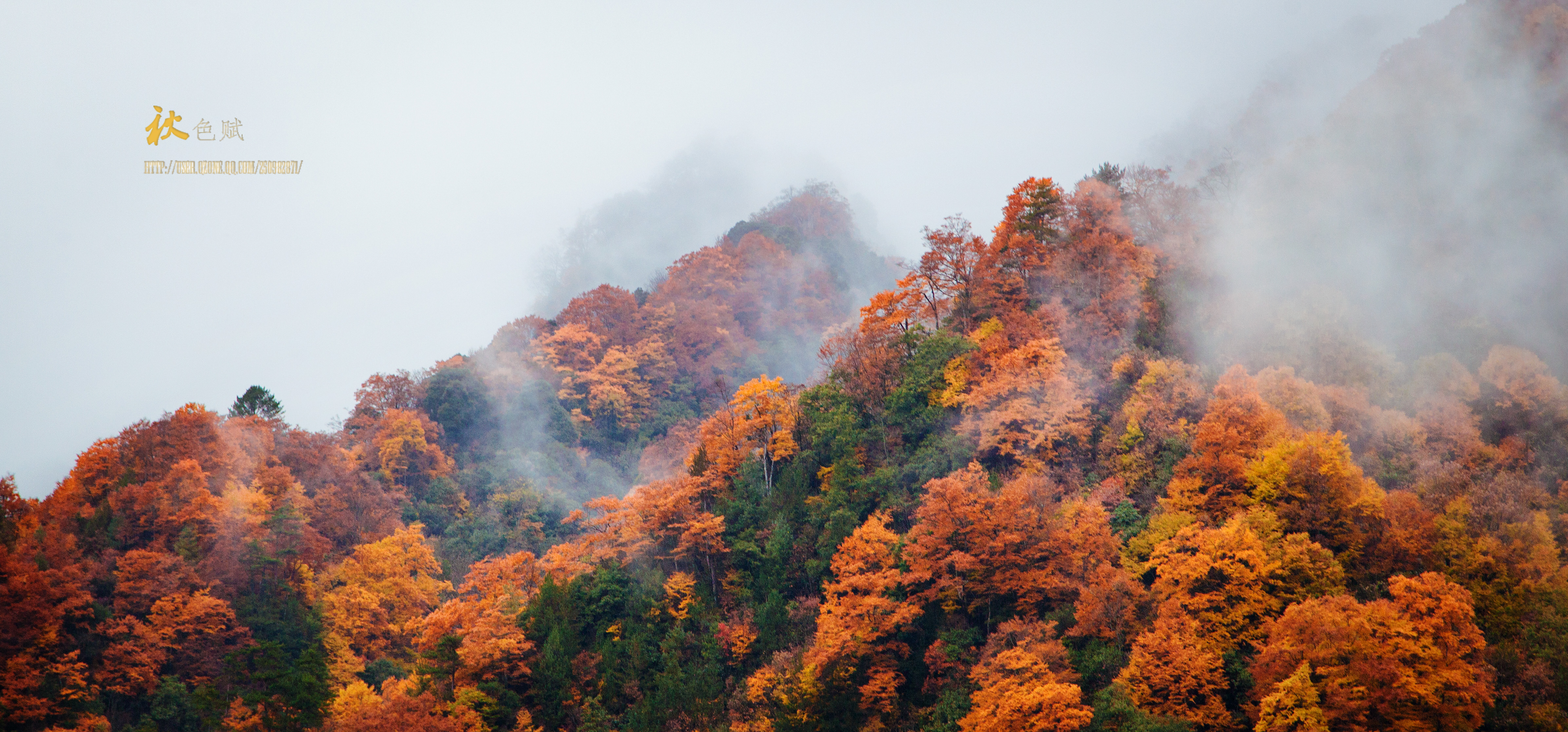 秋色光雾山