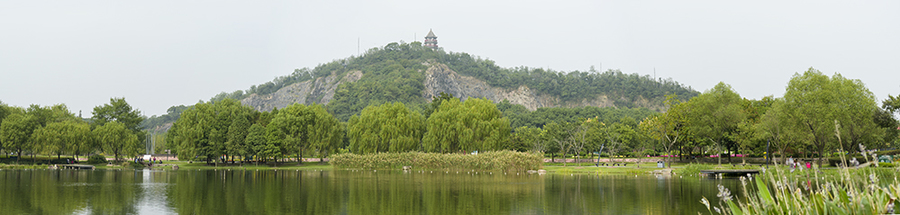 上海余山植物园. (共 1 p)