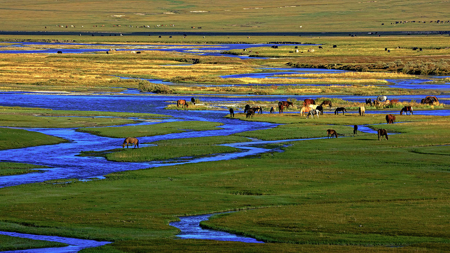 新疆巴音布鲁克草原是什么 关于新疆巴音布鲁克草原的
