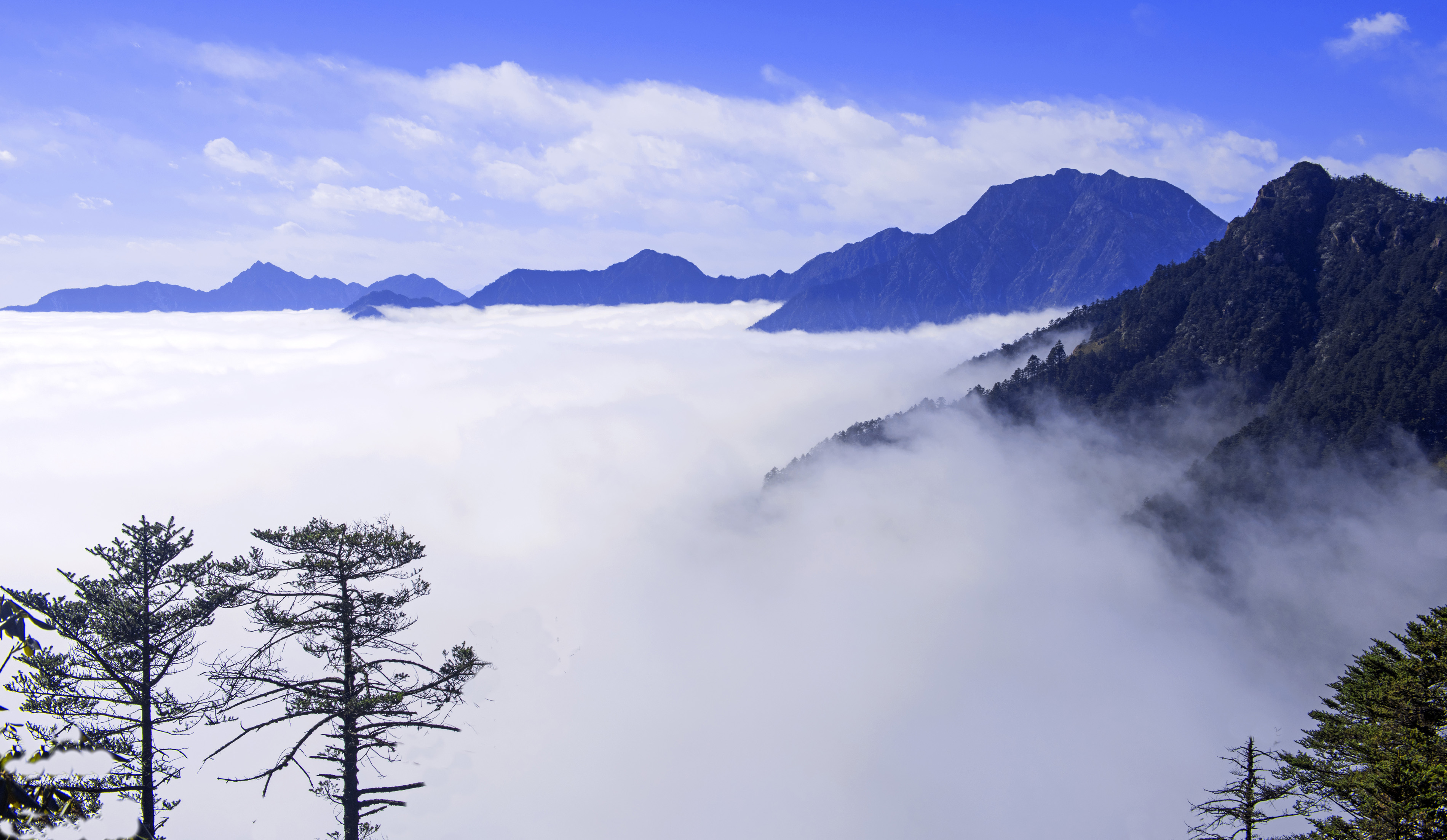 西岭雪山云海