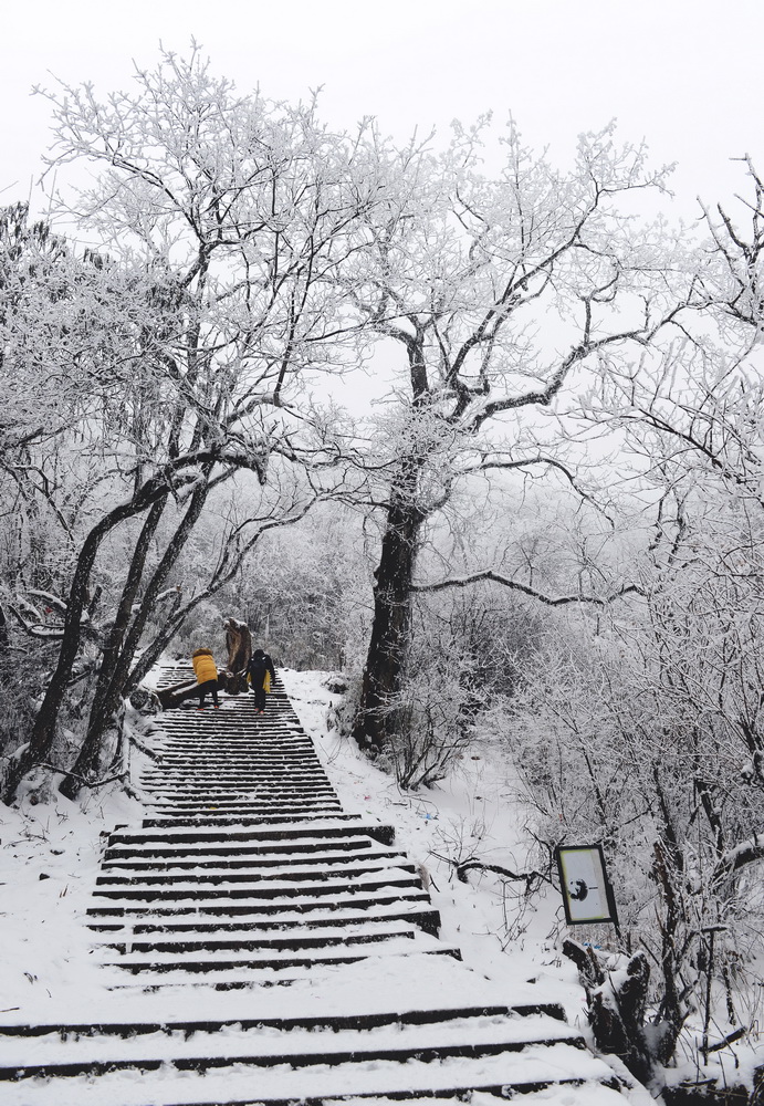 冬季雾雪(千佛山)