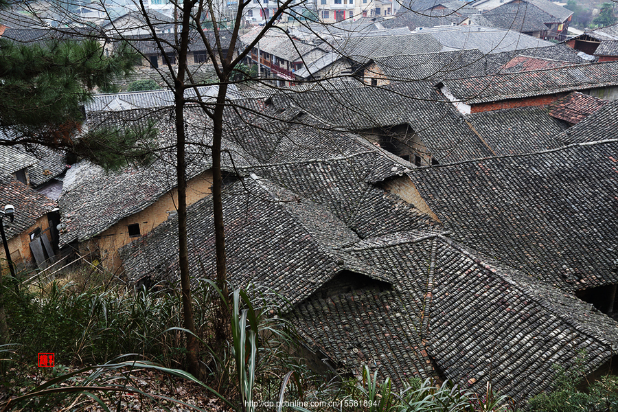 查看大图 手机看图 作品简介 张谷英村,属湖南省岳阳市岳阳县张谷英