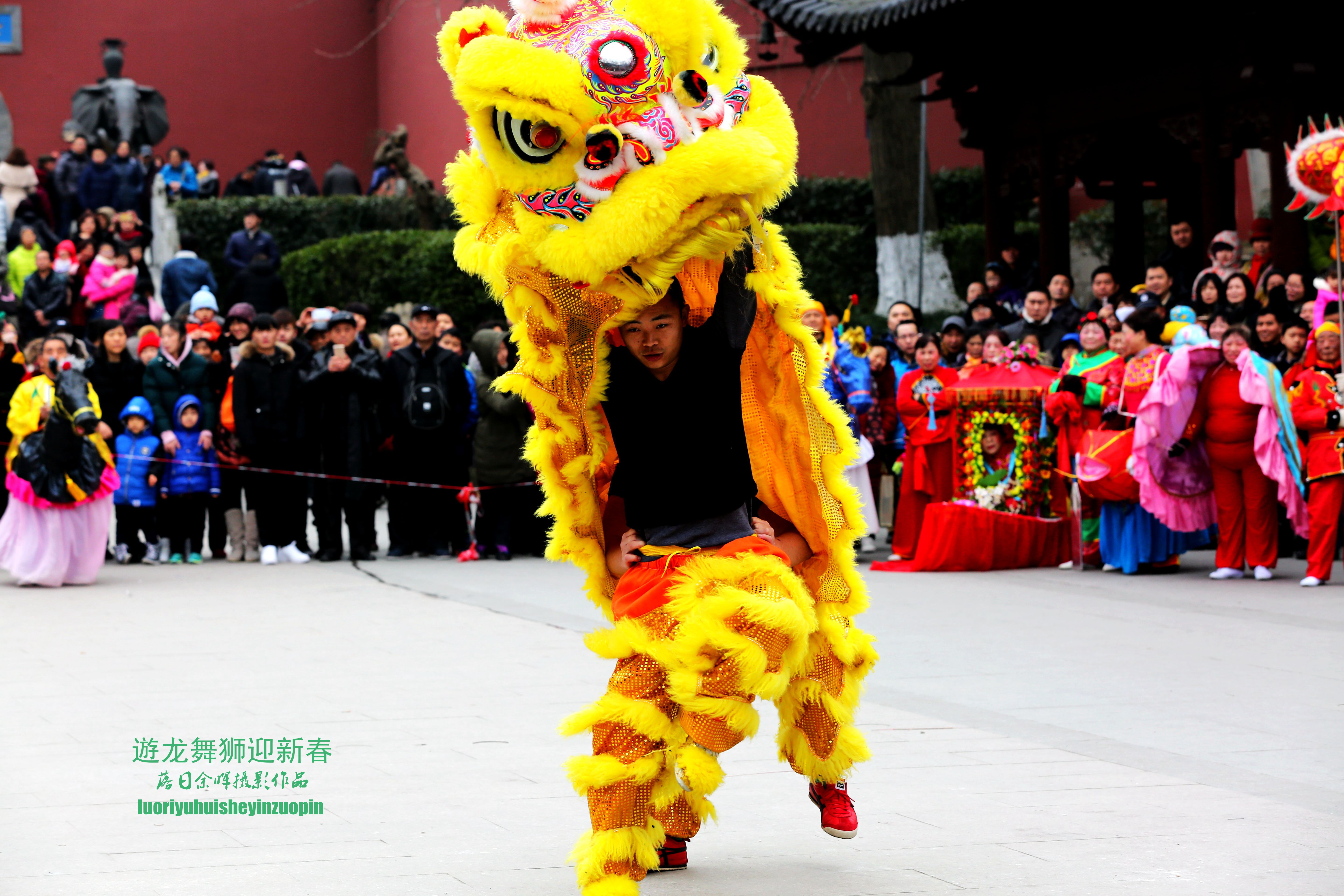 游龙舞狮迎新春