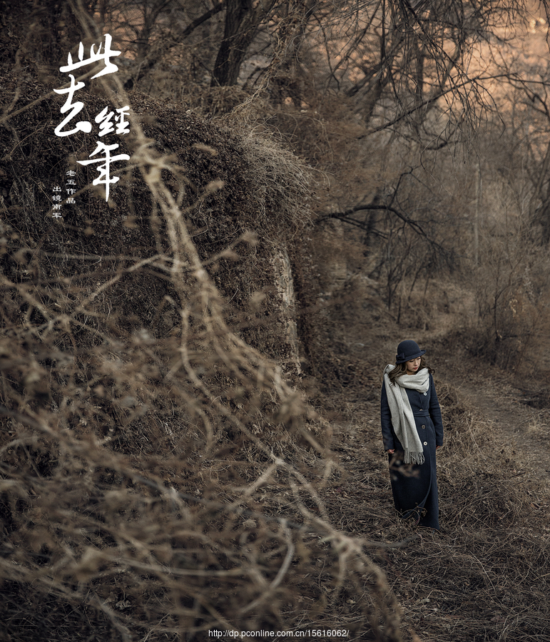 此去经年小说 太平洋电脑网