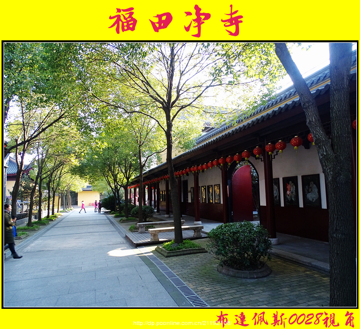 福田净寺