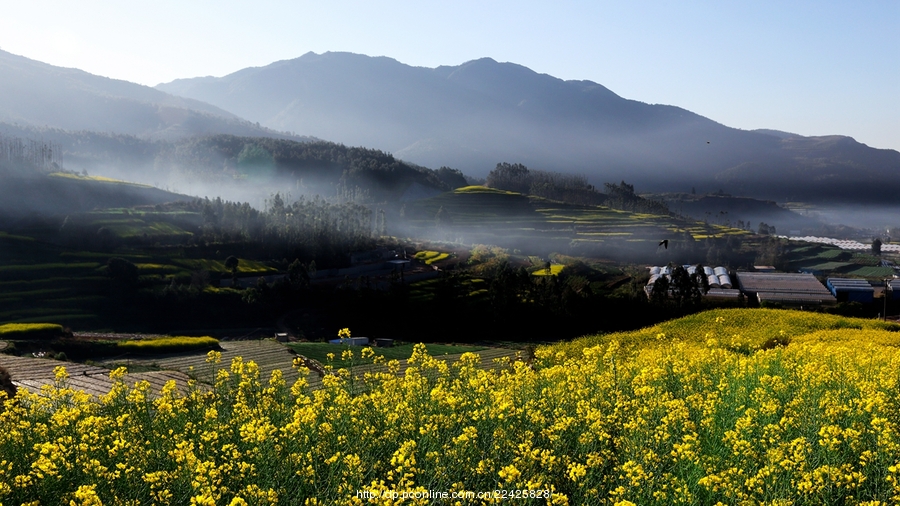 乡村早晨