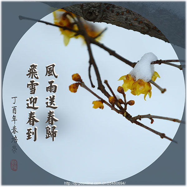  雪梅>