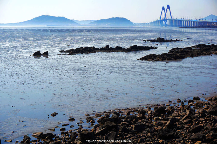 【黄海滩涂与海阳青岛跨海大桥摄影图片】生活