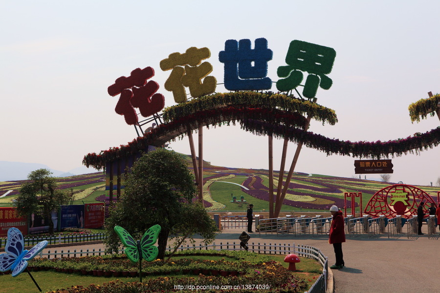 花花世界