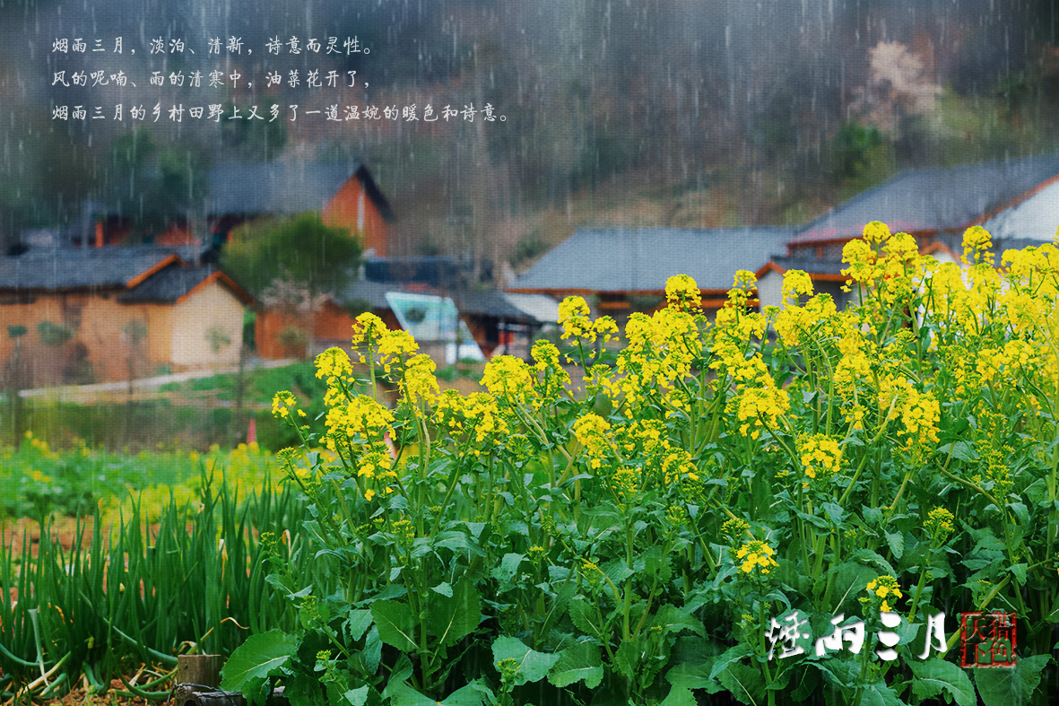 烟雨三月