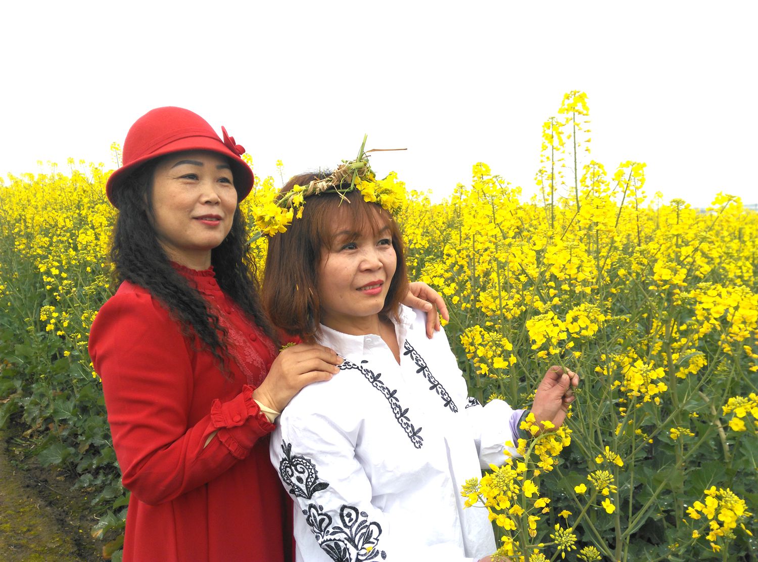 美女爱上油菜花(一)