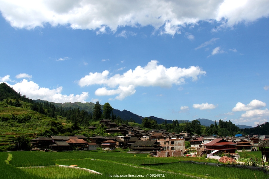 桂北山区风景美 (共p)