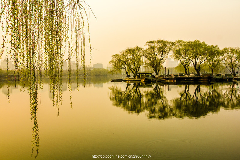【大明湖之春摄影图片】济南风光摄影