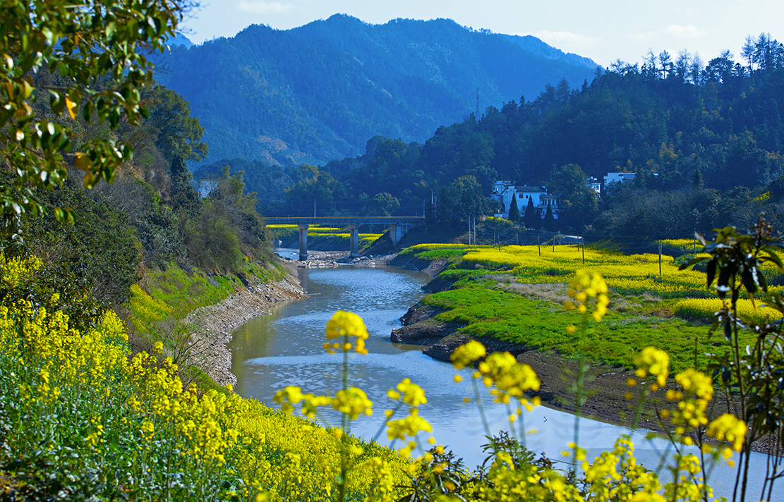 山水画廊