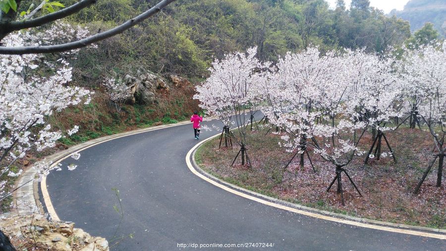 白马山生态公园