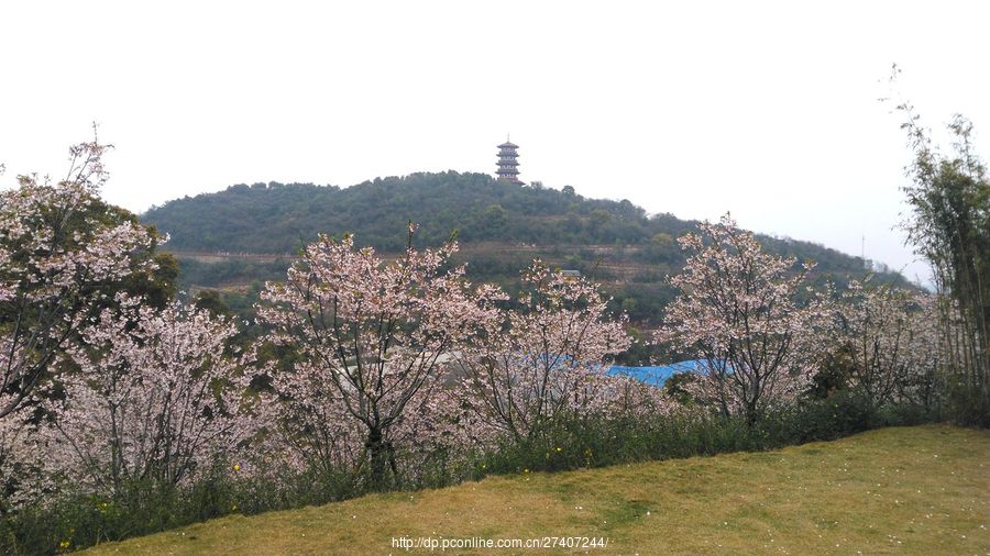 白马山生态公园