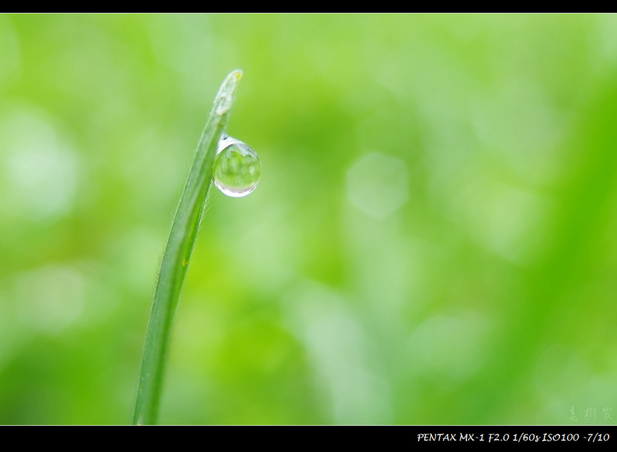 雨珠