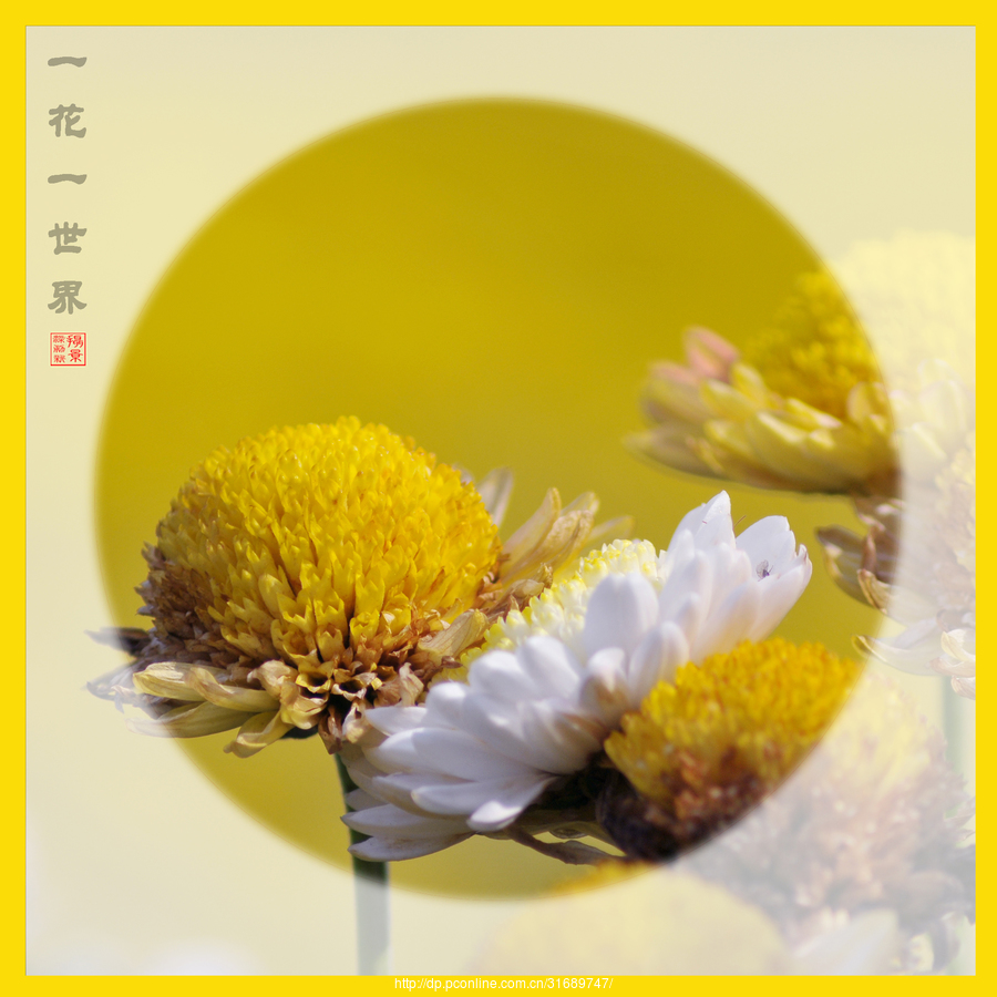 《一花一世界》