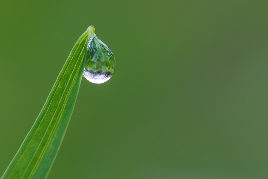 雨珠