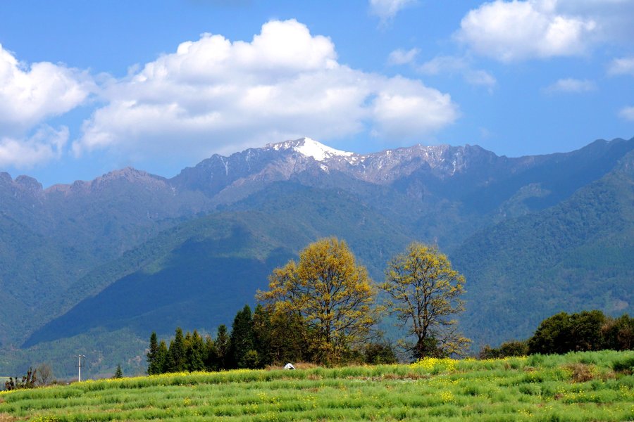 腾冲界头乡油菜花和高黎贡山