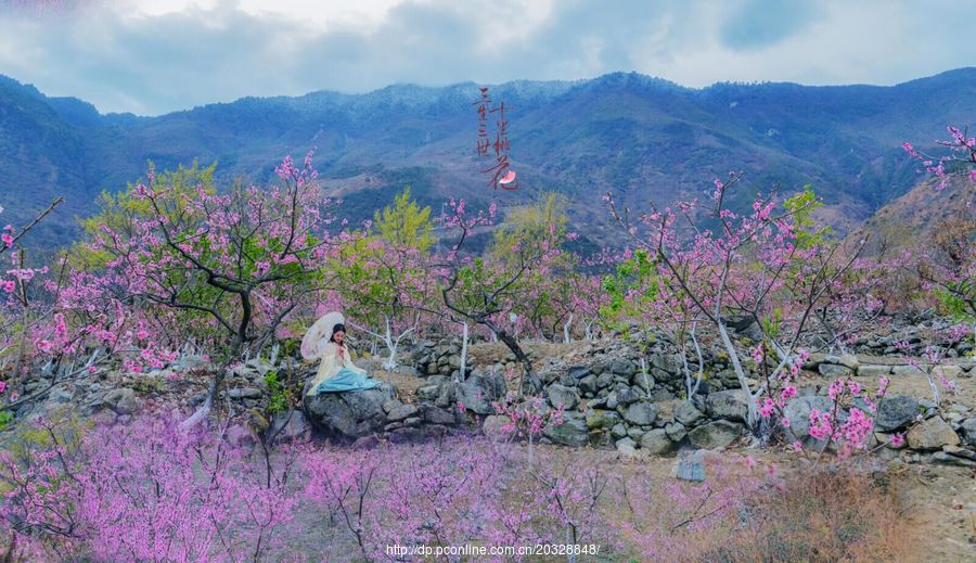 三生三世十里桃花