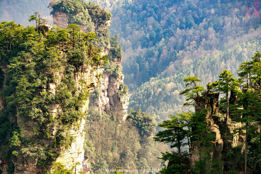 灵秀张家界(武陵源核心景区)