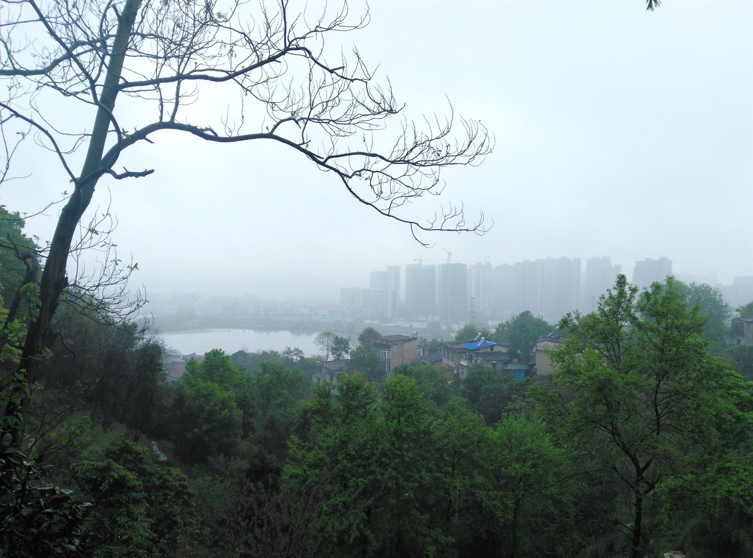 雨中漫步盘龙山