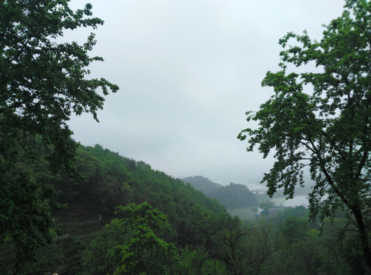 雨中漫步盘龙山