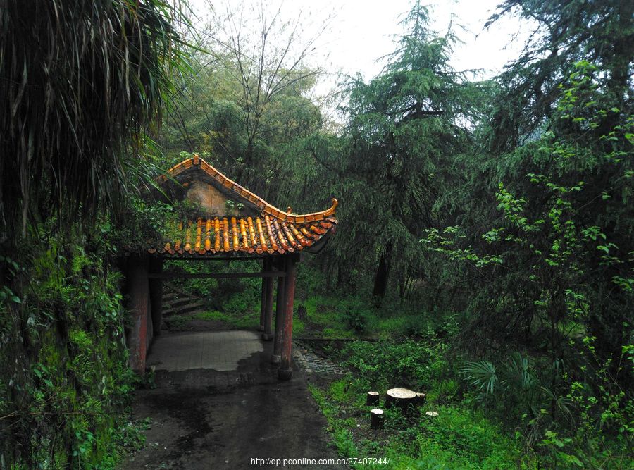 雨中漫步盘龙山